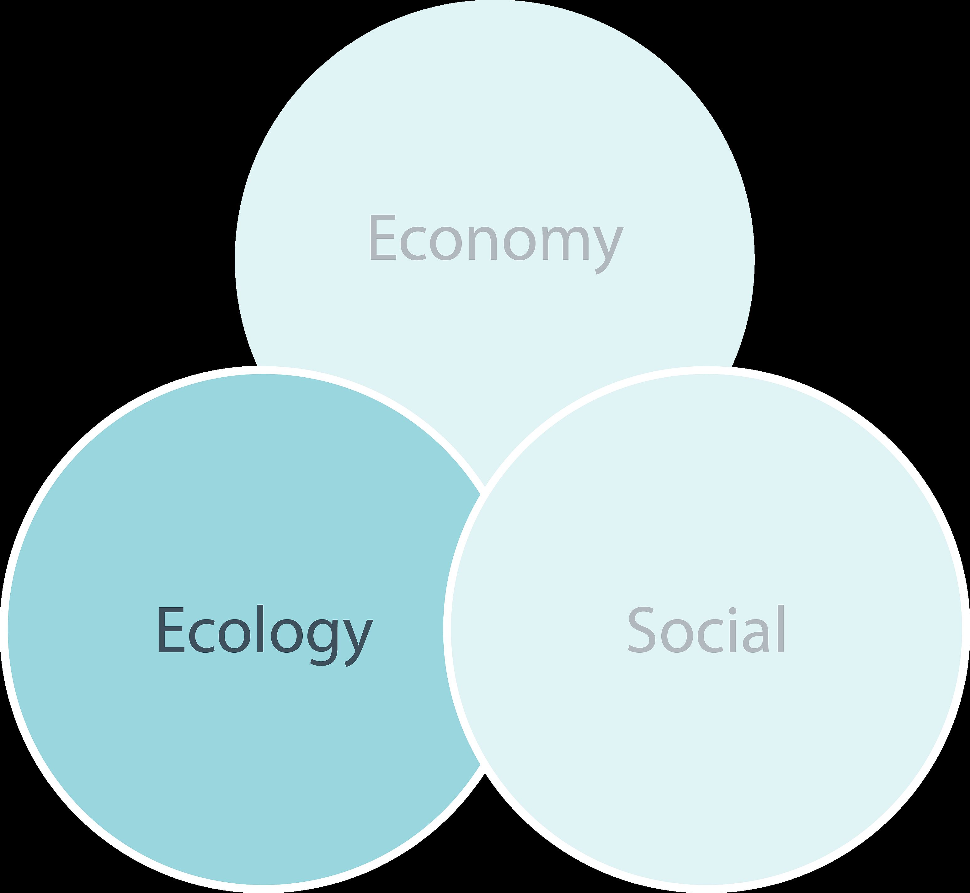 3 Saeulen der Nachhaltigkeit   OEkologie ENG